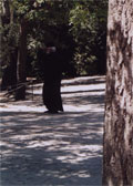 Preview - Click to zoom