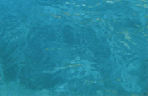 Preview - Click to zoom