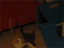 Preview - Click to zoom